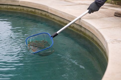 Limiter la prolifération d’algues pendant la période de repos du bassin