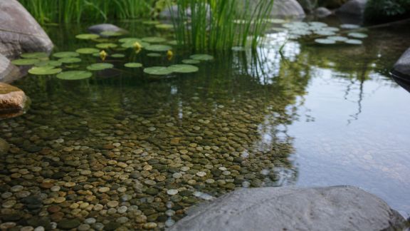 Méthodes naturelles pour maintenir une eau limpide sans produits chimiques