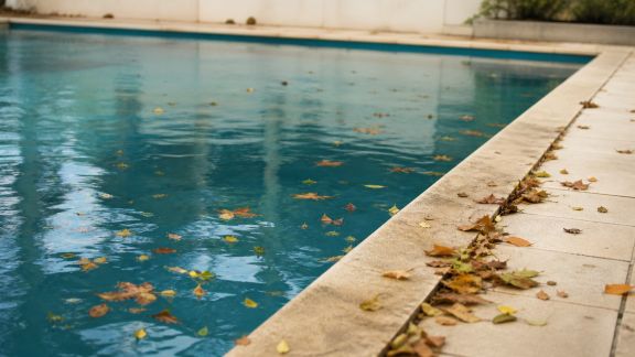 L'effet du vent et des feuilles sur la propreté de votre piscine